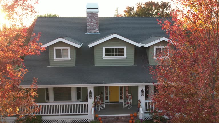Best Steel Roofing  in Teutopolis, IL