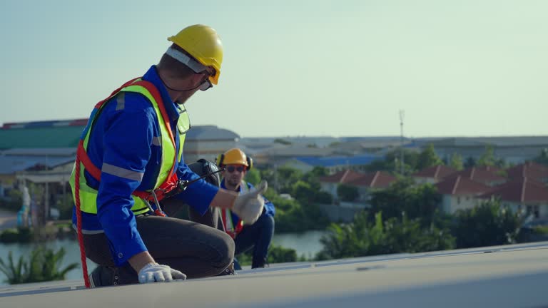 Best Roof Maintenance and Cleaning  in Teutopolis, IL