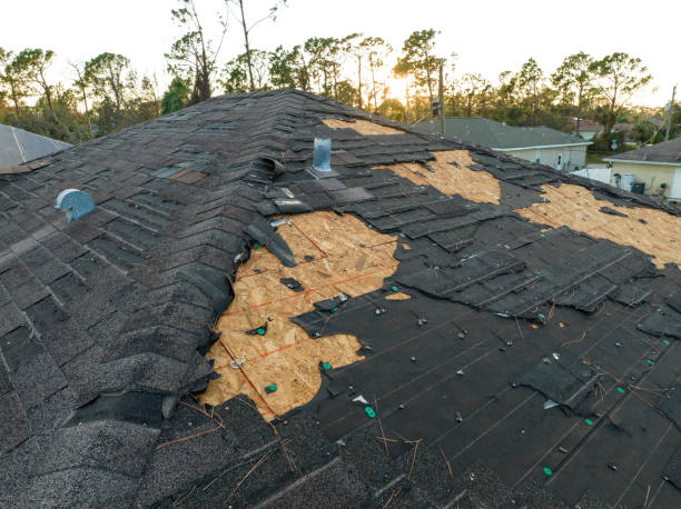 Best Chimney Flashing Repair  in Teutopolis, IL