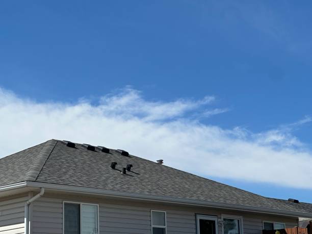 Best Slate Roofing  in Teutopolis, IL